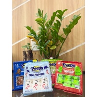 [AMERICAN PRODUCT] Peeps Marshmallow 85g