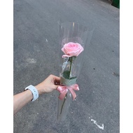 Bundle of 1 single flower, get October 20