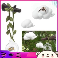 wayne4pcs Jumping Spider Hide Glass Ball Habitat Cloud Platform Ledges Jumping Spider for Decorating