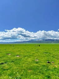 Xining Gangshika Snow Peak Half-Day Nature Sightseeing Tour