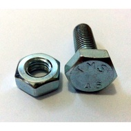 M10 x 30 mm Hex Bolt + Nut