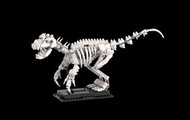 （可只買說明書）正版樂高自製帝王暴龍化石恐龍化石LEGO MOC（購買前請先私訊我，要先和您談過再麻煩您下單）