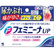 小林製藥 Feminina UP 女性私密處止癢消炎軟膏 15g【第2類醫藥品】