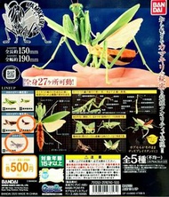 Gashapon 昆蟲圖鑑超擬真「大螳螂亅扭蛋旦 No.4 褐色& 5 (少量生產 透明色 特別版) 合共二只, 圖片為物品形態參考, 出售物品全新未拆