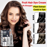Black Fruit Dyeing Cream Natural Fruit Hair Dye With Comb No Dioxygen Plant Extract Hair Dye Shampoo Gentle Nourshing Hair Roots Healthy Hair Dye Essence Hair Treatment