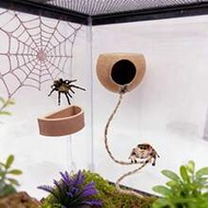 Spider Jumping Hide And Feed Dish, Insect Habitat Hiding Cave, Spider Enclosure Accessories, Pet Spi