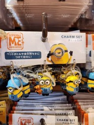 日本正版  tim bear  Minions公仔 壞蛋掌門人  日本環球影城代購 日本usj 小黃人 minions 迷你兵團 bob熊 tim 日本usj代購  tim熊 minions usj代