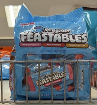 MrBeast Feastables variety pack 朱古力