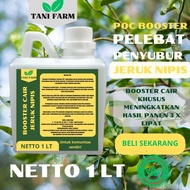 Pupuk Semprot Pelebat JERUK NIPIS Pupuk Pelebat JERUK NIPIS Pupuk Penyubur JERUK NIPIS ZPT
