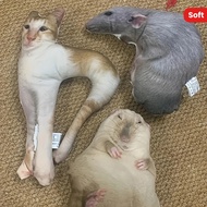 3D Pillow Kitten, Souvenir Perfect Mini Soft Friends Personalization, Animal Girlfriends Pet Design 