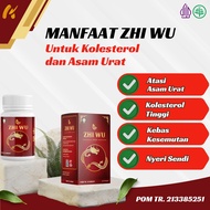 ZHI WU - Obat Asam Urat & Kolesterol