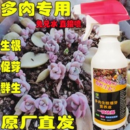 Succulent Root Burst Sprout King Fertilizer Increasing Color Control Affection Long Indoor Household Flower Fertilizer Nitrogen Phosphorus Potassium Direct Injection Compound Fertilizer Succulent Root Burst Sprout King Fertilizer Increasing Color Control