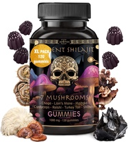 ad hoc Shilajit Pure Himalayan Organic Gummies - Immune Support, Energy Support Supplements - Shilaj