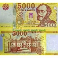 匈牙利5000福林 2020年 全新UNC 歐洲紙幣錢幣外幣#外幣#紙幣#天涯幣舍