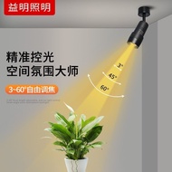 Small beam angle spotlight, surface mounted, adjustable Small beam angle spotlight surface mounted a