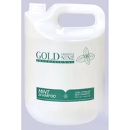 GOLD NINE 4 LITER SALON SHAMPOO(with pump)