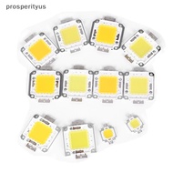 [Prs] 1pc cob led light dc led bulb chip on board 10W 20W 30W 50W 70W 100W 2 colors [DDD]