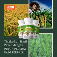 Organic Booster Fertilizer, Rice Plant Growth Booster, Organic Fertilizer, Flower Stimulant, Root St