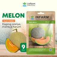 INFARM - Benih Buah Melon Sunmelo Bibit Buah Melon Unggul Bibit Melon Hibrida Premium Berkualitas