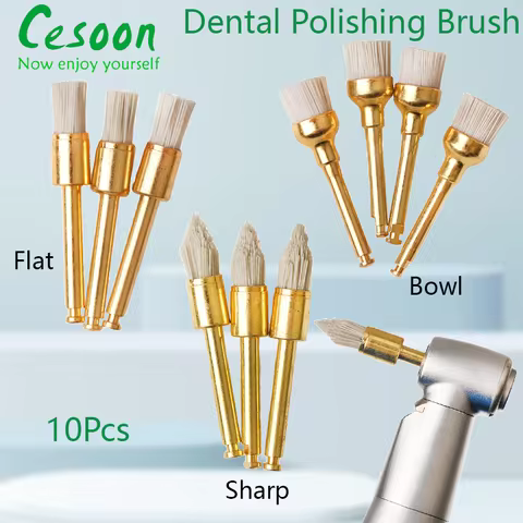 Dental Polishing Brush Aluminium Oxide Flat Sharp Bowl Carbide Brushes For Contra Angle Handpiece Od