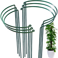 K-Y/ Iron Flower Stand Plant Trellis Support Rod Semicircle Hydrangea Chinese Rose Climbing Vine Fixed Flower Bracket Si