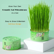 SunSun Easy to Grow Wheat Grass Canned Hairball Control Pet Cat SnackTreat No Soil Kit