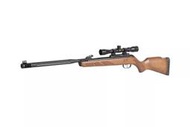 【AS艾斯軍品】GAMO HUNTER MAXXIM IGT 5.5mm 喇叭彈空氣長槍-E0111855