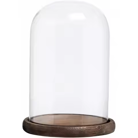 Bell Jar Glass Cloche with Rustic Wood Base,10In Tall Clear Decorative Glass Dome Display for Plants