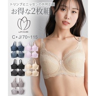 [Direct Form Japan] Nissen_  Triumph Full Cup Bra Set of 2 (n, FULLRE)