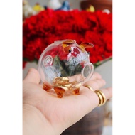 Long Mouth Glass Pig with Ring size 6.5cm
