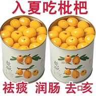 Canned Loquat and Dried Loquat Fruit Fresh loquat canned fruit, dried loquat fruit 450g Large size p