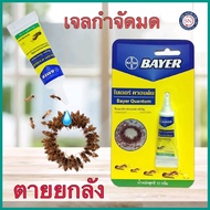 Bayer Quantum เจลกำจัดมด ไบเออร์ ควอนตั้ม 12 กรัม เจลมด ฆ่ามด กำจัดมด เหยื่อกำจัดมด