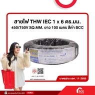THW IEC Wire 1 x 6 Sq.m.mm. 450/750V SQ.MM. Length 100 Meters Black BCC (Stock Sichon)