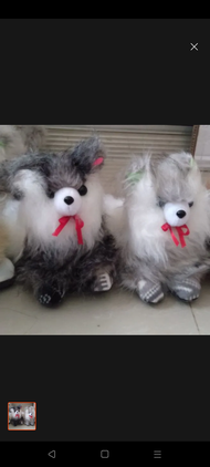 Boneka murah kucing anggora lucu