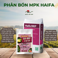 QVA - CHÍNH HÃNG: [100g-25kg] Phân bón MKP HAIFA 0-52-34