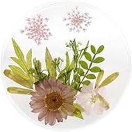 Keystone Botanical Flower Coaster DΦ10×H0.6cm KI015295 Dried Flower Flower Flower Decor