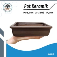 Pot Bonsai Keramik MAME Kotak Persegi Panjang Unik