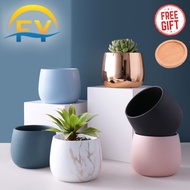 FY Ceramic Pot Succulent Pot Cactus Pot With Tray Planter Pasu Bunga Pasu Seramik kaktus Indoor Outd