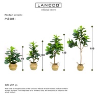 LANCCO-Fiddle Fig Leaf Artificial Plant & Tree pokok viral home decor pokok hiasan fiddle fig murah 