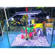 Viet Nhat glass 30x20x20 desktop fish tank. Full combo just drop fish.