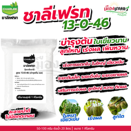 (25กก.) ชาลีเฟรท ปุ๋ยชาลี ปุ๋ย ปุ๋ยเกล็ด 13-0-46 บำรุงผล เพิ่มหวาน เพิ่มน้ำหนัก เพิ่มแป้งเมล็ดข้าว ล