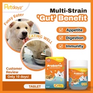 PetDayz Probiotic Tablet | Cat & Dog Supplement | Gut Health | Multi-Probiotic | 120 Tablets