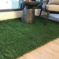 [特價]人工草皮 仿草皮地墊 100x200cm