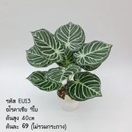 Eu13 9 Fake Acacia Trees 40 Cm Tall.