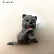 delicatelife 3CM Miniature Food Play Pet Puppy Kitten Plastic Toy Accessories Play House Doll Dog 6.1g Nice