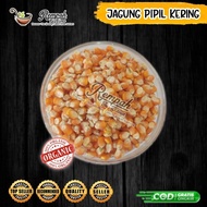 jagung pipil kering 1 kg - jagung popcorn