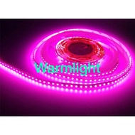 Led strip 2835 PINK 120led 5meter 12v pink strip light 12v