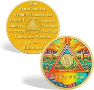 CHURYUML 19 Year Sobriety Coin - One Day at a Time Sober Chip, Affirmation AA Coins Recovery Medalli