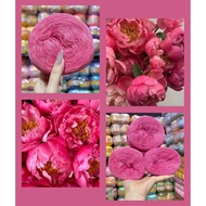 [Lilithes_vn] Set of 3 rolls of 300gr ORGANIC KIM SA LINEN yarn for knitting, crocheting coats, skir