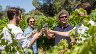 Côte de Provence Wine Tour from Aix-en-Provence